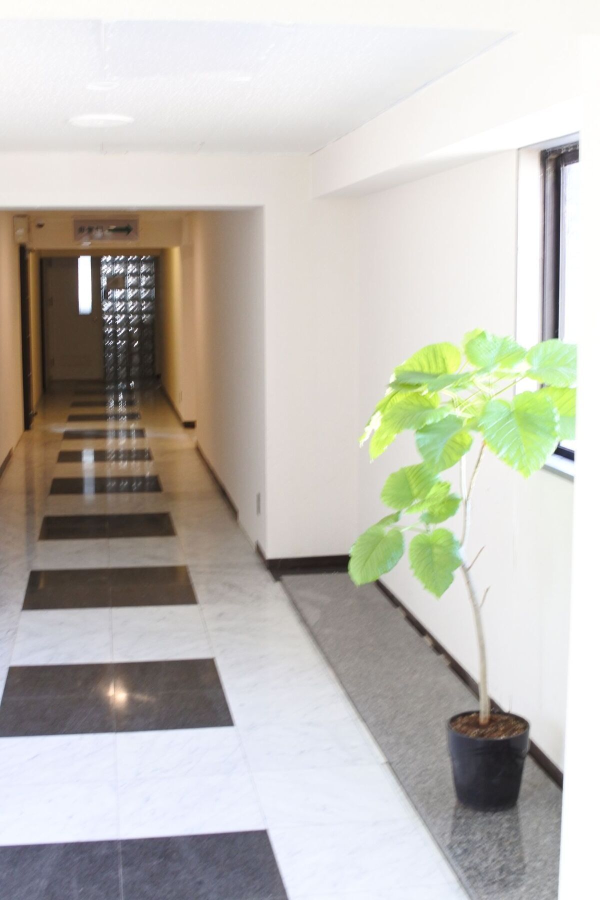 Kagoshima Guest House M104 - Hostel المظهر الخارجي الصورة